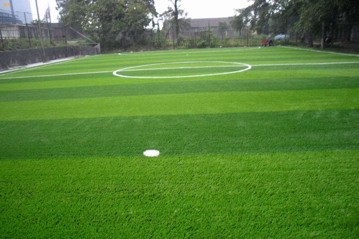 Газон Turf